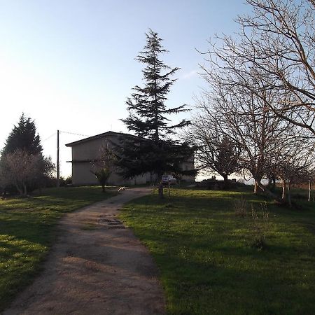 B&B Misatere Vallelonga Zewnętrze zdjęcie