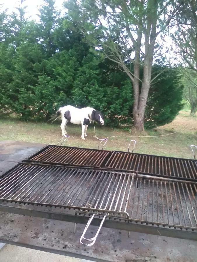B&B Misatere Vallelonga Zewnętrze zdjęcie
